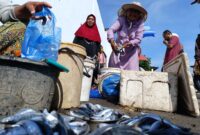 Maria Nona Saidah, warga Waidoko, Kelurahan Wolomarang, Kecamatan Alok Barat, Kabupaten Sikka sedang menjual ikan di tempat penjualan ikan (TPI). Foto: Mia Margareta Holo