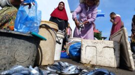 Maria Nona Saidah, warga Waidoko, Kelurahan Wolomarang, Kecamatan Alok Barat, Kabupaten Sikka sedang menjual ikan di tempat penjualan ikan (TPI). Foto: Mia Margareta Holo