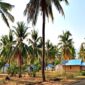 Tanah HGU Nangahale. Sumber Foto: Florespos.net