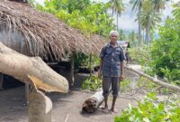 Yoseph Nong, warga Wairhek, Desa Nanghale, Kecamatan Talibura, Kabupaten Sikka berdiri di halaman rumahnya menyaksikan tanaman seperti pohon mete yang sudah ditebang oleh PT. Krisrama menggunakan sensor (Foto : Mia Margaretha Holo/TajukNTT)