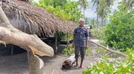 Yoseph Nong, warga Wairhek, Desa Nanghale, Kecamatan Talibura, Kabupaten Sikka berdiri di halaman rumahnya menyaksikan tanaman seperti pohon mete yang sudah ditebang oleh PT. Krisrama menggunakan sensor (Foto : Mia Margaretha Holo/TajukNTT)