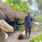 Yoseph Nong, warga Wairhek, Desa Nanghale, Kecamatan Talibura, Kabupaten Sikka berdiri di halaman rumahnya menyaksikan tanaman seperti pohon mete yang sudah ditebang oleh PT. Krisrama menggunakan sensor (Foto : Mia Margaretha Holo/TajukNTT)