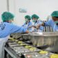Keterangan foto: Relawan SPPG Kota Uneng 2 tengah menyiapkan menu makan MBG di omprengan beberapa waktu lalu. Foto: istimewa. 