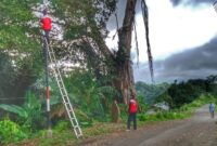 Para teknisi Indihome Sikka saat melakukan pemasangan wifi di Desa Blatatatin, KEcamatan Kangae, Kabupaten Sikka, Rabu (11/3/2026) pagi. 