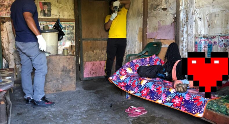 foto slider headline