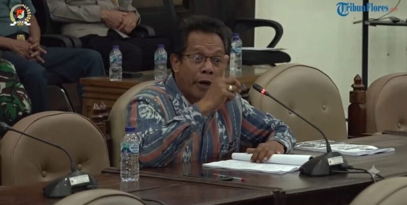 Anggota DPRD Kabupaten Sikka dari Fraksi NasDem, Vincentius Johanes Roma