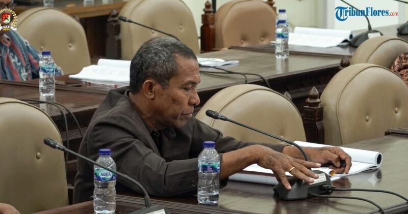 Anggota DPRD Kabupaten Sikka dari Fraksi Gabungan Nurani Sejahtera, Beatus Wilfridus Djogo,