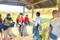 Pit Paji-saat mendapingi Tim UPTD PSB Dinas Pertanian Provinsi NTT melakukan uji petik lapangan. 