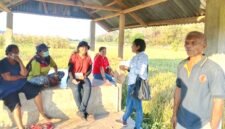 Pit Paji-saat mendapingi Tim UPTD PSB Dinas Pertanian Provinsi NTT melakukan uji petik lapangan. 