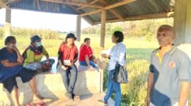 Pit Paji-saat mendapingi Tim UPTD PSB Dinas Pertanian Provinsi NTT melakukan uji petik lapangan. 