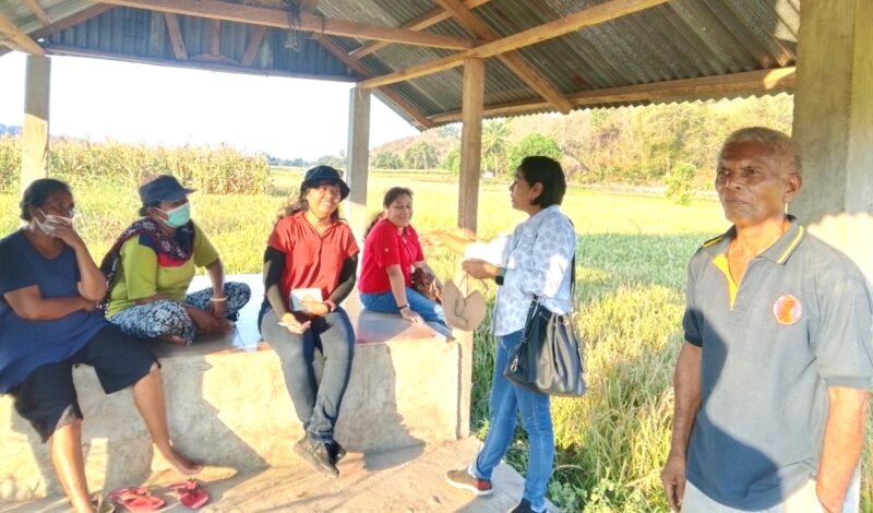 Pit Paji-saat mendapingi Tim UPTD PSB Dinas Pertanian Provinsi NTT melakukan uji petik lapangan. 