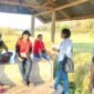 Pit Paji-saat mendapingi Tim UPTD PSB Dinas Pertanian Provinsi NTT melakukan uji petik lapangan. 